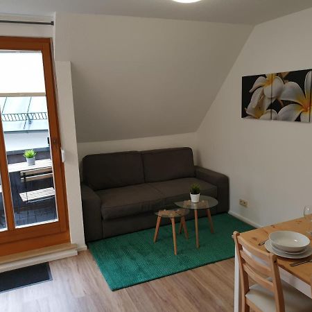 Wohlfuehl-Apartment Bad Kissingen III Zewnętrze zdjęcie